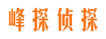 勉县市调查公司